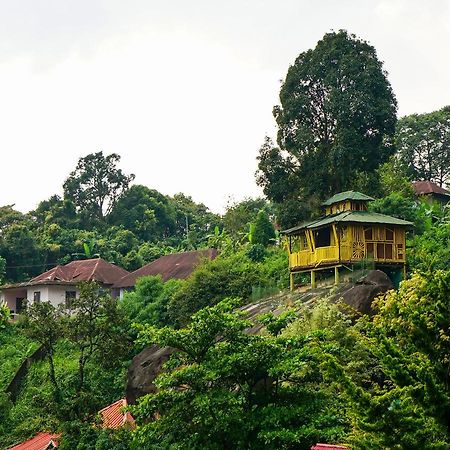 Oyo 10262 Hotel Munnar Rock 外观 照片